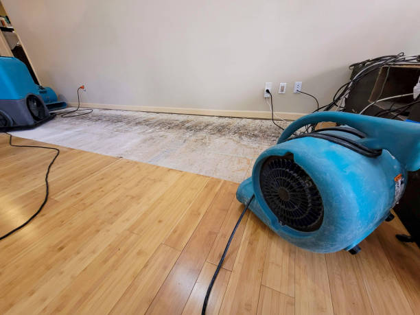 Reliable Water Damage Restoration contractor in New Ulm, TX by Hirex Water Damage