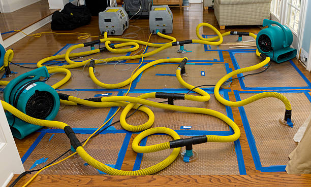 Professional Water Damage Restoration technician working in New Ulm, TX